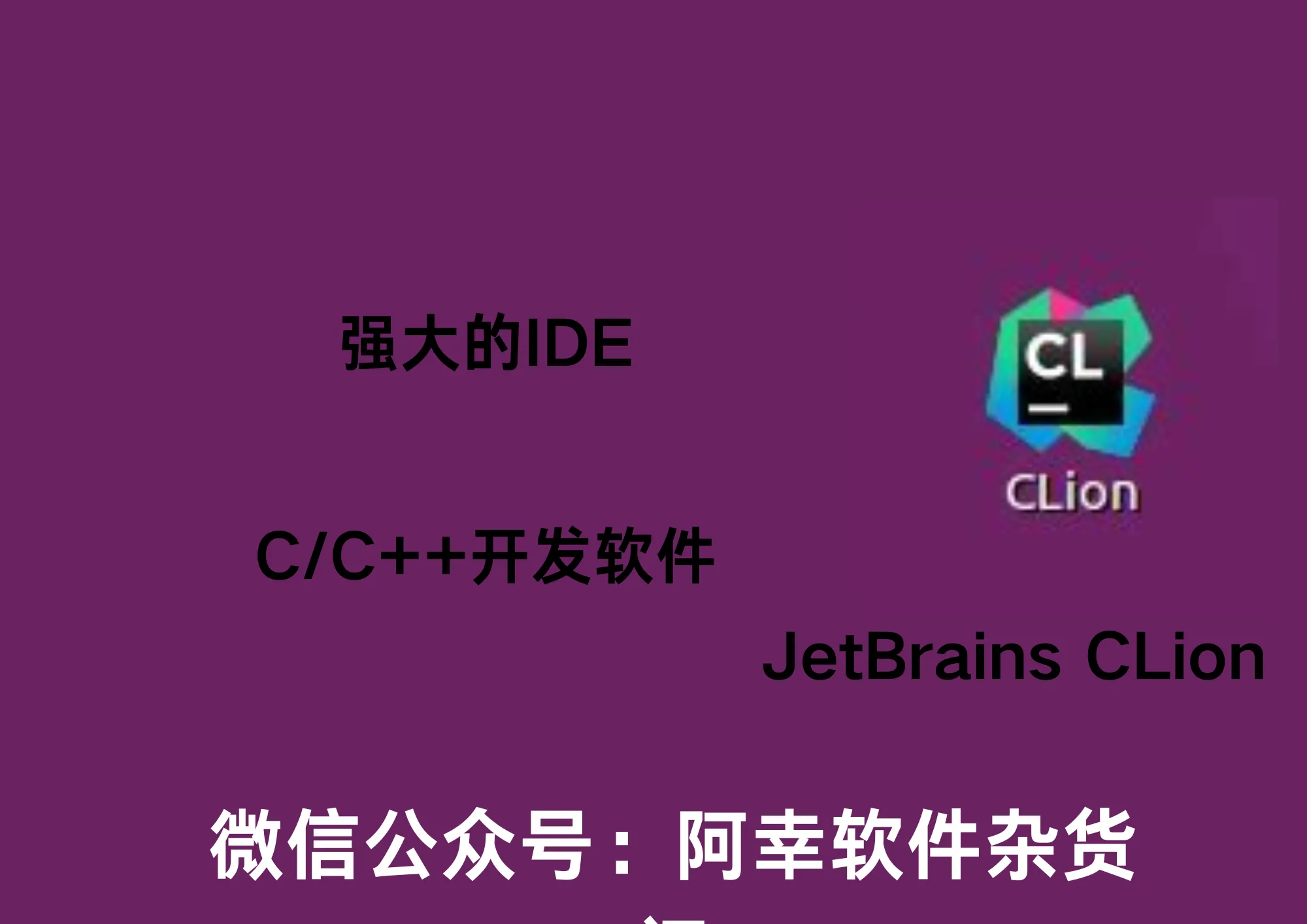 Linux JetBrains CLion 2024.1 |Linux中英文|编程软件-阿幸软件杂货间