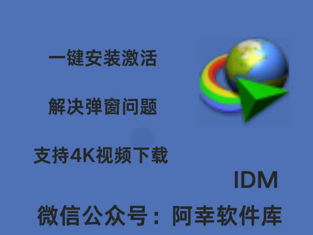 Internet Download Manager v6.42.30 中文绿色特别版(IDM下载利器)