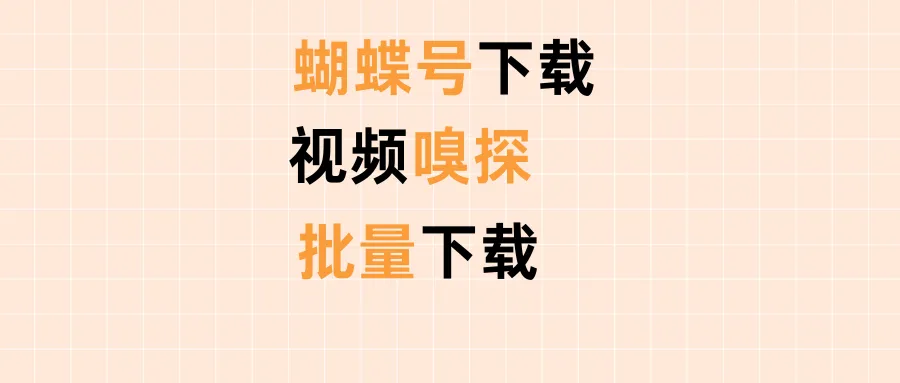 嗅探资源：视频号下载（其他平台也支持）-阿幸软件杂货间