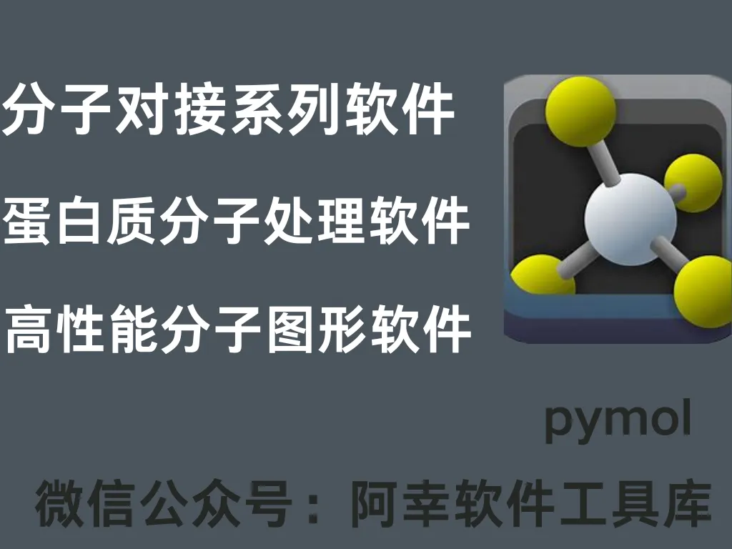 schrodinger PyMOL 2.5.5 |Win英文|分子对接|安装教程-阿幸软件杂货间