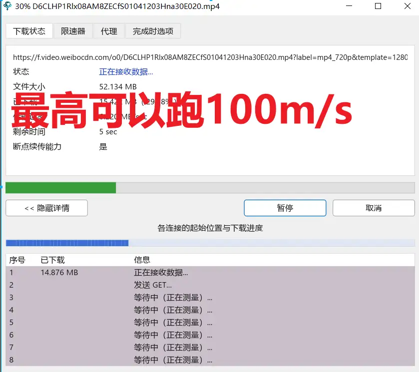 Hydra Download Manager2