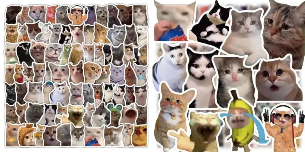 猫meme素材绿幕1